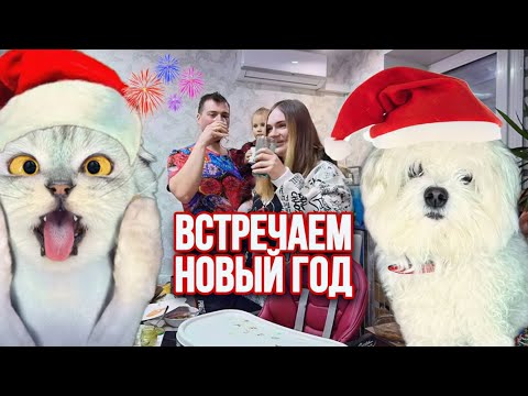 Видео: влог: КАК МЫ ВСТРЕТИЛИ НОВЫЙ ГОД С ЖИВОТНЫМИ ДОМА!!!