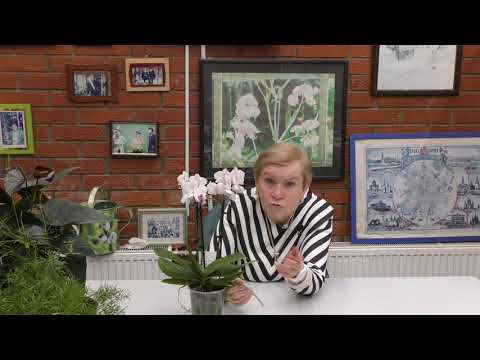 Видео: Отвечаем на вопросы наших зрителей №10