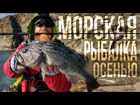 Видео: ТЕРПУГ. Морская рыбалка во Владивостоке, остров Русский