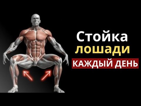 Видео: Что происходит с вашим телом, когда вы выполняете стойку лошади каждый день