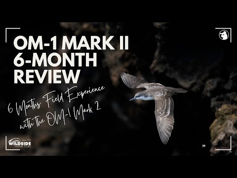 Видео: OM 1 Mark II – обзор за 6 месяцев (представитель системы OM)