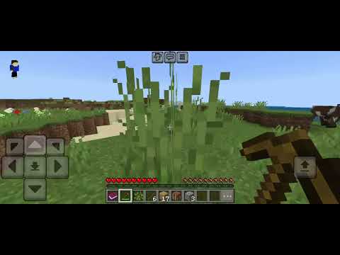 Видео: Я испугался 