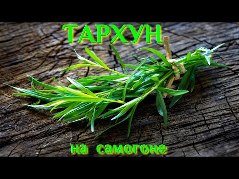 Видео: #16 Настойка "ТАРХУН" на самогоне