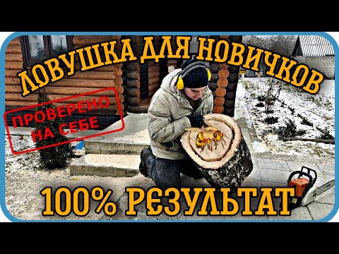 Видео: ХОЧЕШЬ МНОГО РОЁВ?❓ ВКУСНОГО МЁДА? ❓И ТЫ НЕ ПЧЕЛОВОД...ТЕБЕ СЮДА⬇️"