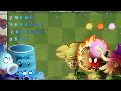 Видео: умный человек скачать обои vs ...(три точки)