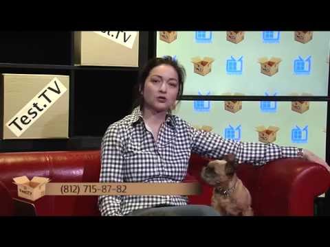 Видео: Запись прямого эфира Test.TV "Кавказкие овчарки"