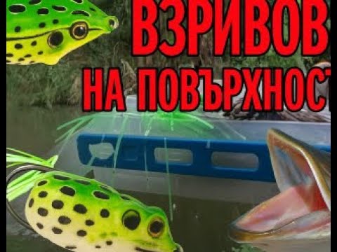 Видео: ПОПАДНАХ В ЩУКАРСКИ РАЙ !!! НАД 20 ВЗРИВООПАСНИ АТАКИ НА ПОВЪРХНОСТНА ЖАБА ОТ 2 ЛВ !!!