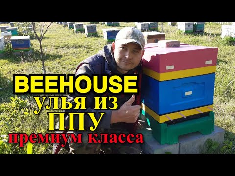 Видео: BEEHOUSE - цельнолитые ульи из пенополиуретана