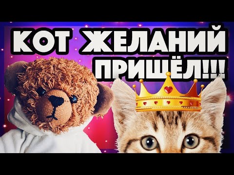 Видео: Черный кот желаний. Устала с закрутками...Будни деревенской жизни.