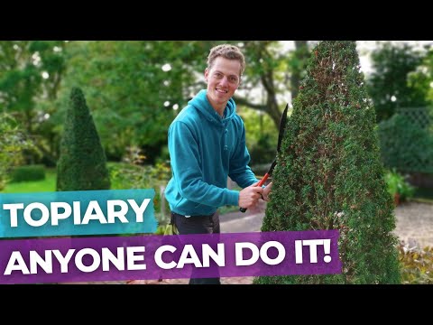 Видео: Как обрезать пирамидальную топиарную стрижку | Полное руководство по формальному саду