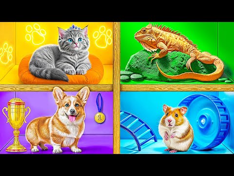 Видео: Строим Домики для Животных | Смешные Челленджи c TeenDO Challenge