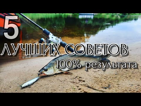Видео: 100% ДОЛЖЕН ЗНАТЬ КАЖДЫЙ ПРИ ЛОВЛЕ НА ВОБЛЕРЫ, 5 ПРОСТЫХ СОВЕТОВ!