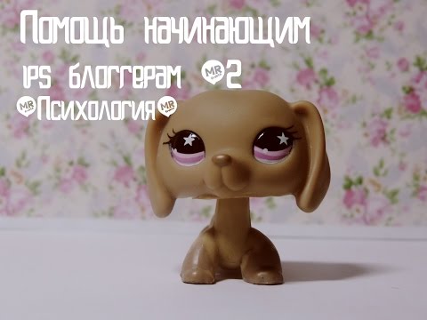Видео: Помощь начинающим lps блоггерам №2 (Психология)