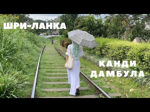 Видео: Жизнь на ШРИ-ЛАНКЕ. Канди. Дамбула. Пещерный храм. Отели. Еда. Как добраться.