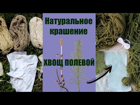 Видео: Крашение натуральными красителями. Полевой хвощ | Natural Dye Experiment. Field horsetail