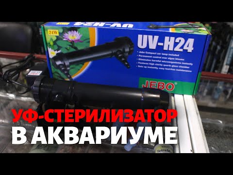 Видео: УФ-стерилизатор для аквариума: что это и для чего он нужен? JEBO UV-H24