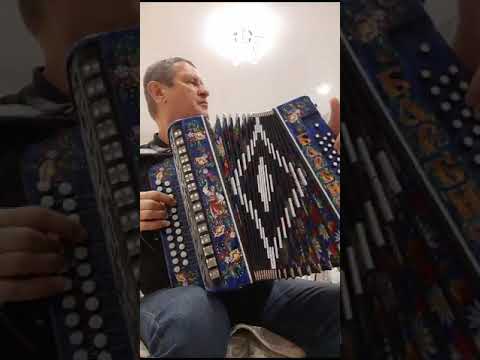 Видео: Татарские народные  на гармони.