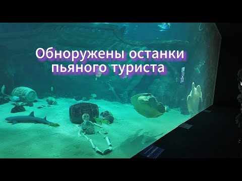 Видео: #Абхазия2025 #Черкез777