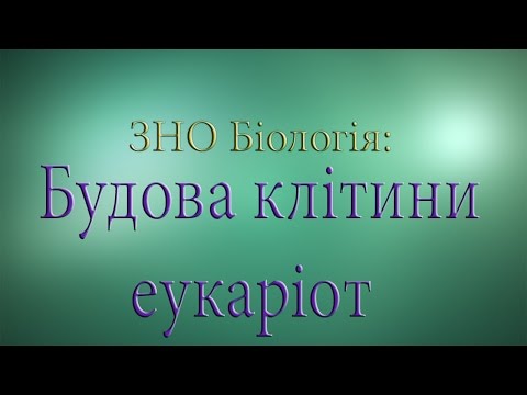 Видео: ЗНО Біологія  Загальний план будови клітин еукаріот