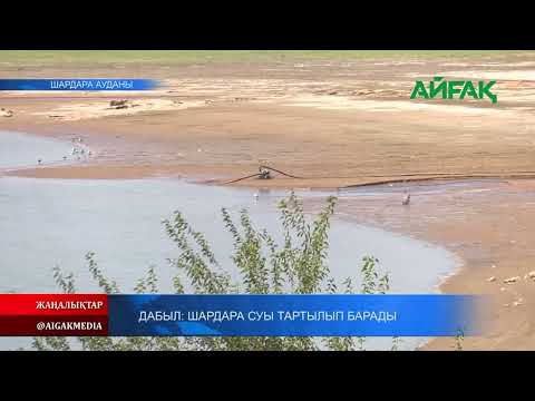 Видео: 07.08.2023 ж.  ДАБЫЛ: ШАРДАРА СУЫ ТАРТЫЛЫП БАРАДЫ