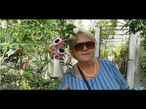 Видео: Шикарное место в Новосибирске. Центральный Сибирский ботанический сад СО РАН.