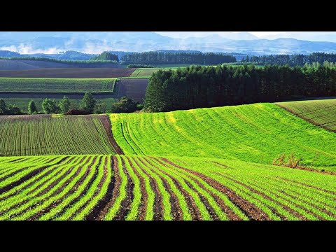 Видео: Оценка почвенных ресурсов бассейна реки Бэлцата