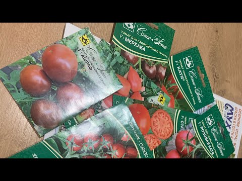 Видео: Мои любимые томаты от Семко