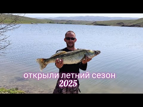 Видео: Трофейный судак!