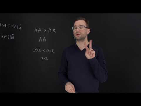 Видео: 3.1 Грегор Мендель и его эксперименты. Естествознание - 10 - 11 класс