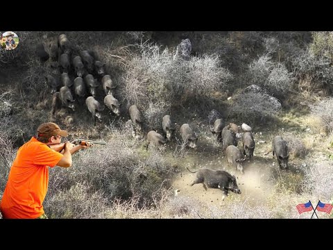 Видео: Невероятно! Экстремальная охота на кабана — бой на выживание, который вы должны увидеть!