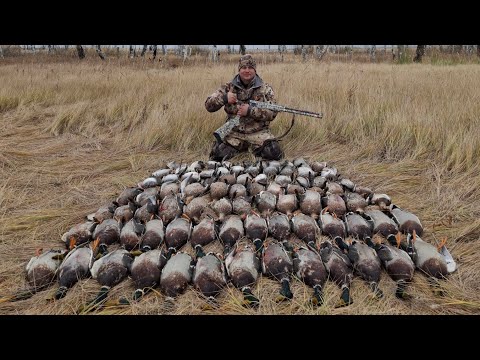 Видео: Такой шикарной охоты у меня еще никогда не было!Лучшая утиная охота осеннего сезона 2024!