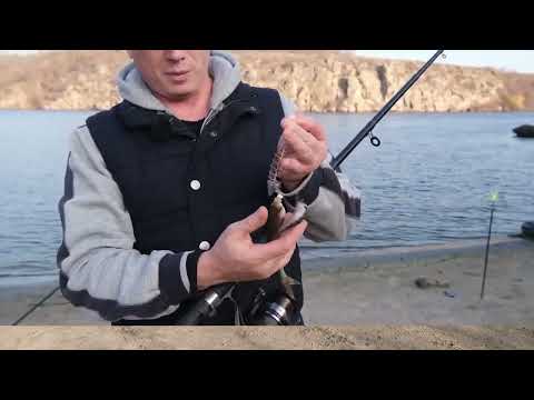 Видео: ЗАПОРОЖЬЕ РЫБА НОРМ!