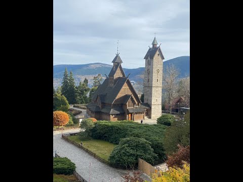 Видео: КАРПАЧ Осень Альпаки