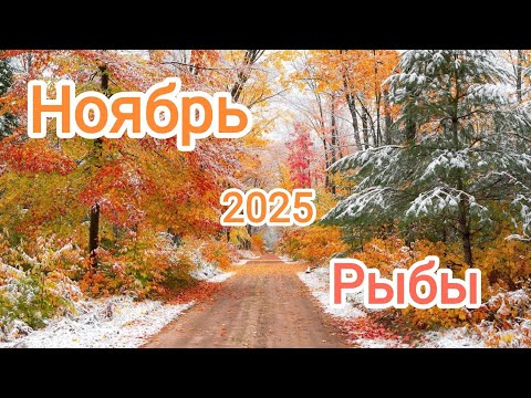 Видео: РЫБЫ 🐠 НОЯБРЬ 2025🍁 Тароскоп 🍁