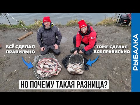 Видео: Не учёл ОДИН фактор - и вот результат. Рыбалка на фидер в ноябре