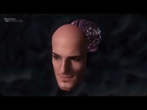 Видео: Пол Экман - Эмоции,мимика и жесты. О верификации лжи