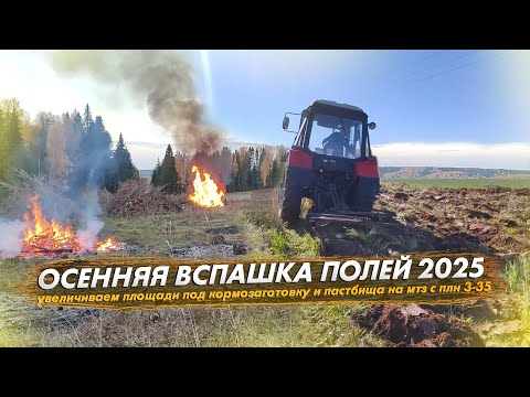 Видео: Осенняя вспашка полей. Увеличиваем площади под кормозаготовку и пастбища на мтз 82 с плугом плн 3-35