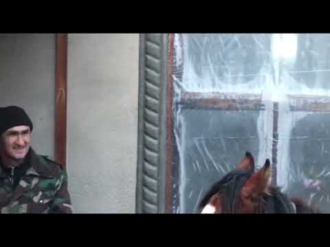 Видео: АЛАМАН! Жайыл району Орто Суу айылында болгон Аламан
