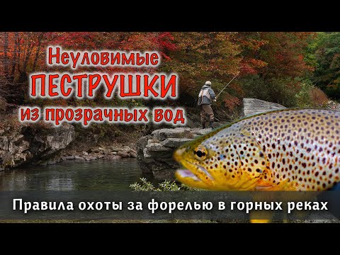 Видео: ЛОВЛЯ ФОРЕЛИ на спиннинг в горных реках - тонкости и нюансы для достижения успеха