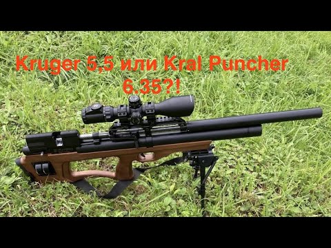 Видео: Pcp Kruger 5.5 & Kral Puncher 6.35. Battle!  Cal 0.22 или 0,25 !? Такого  я не ожидал!