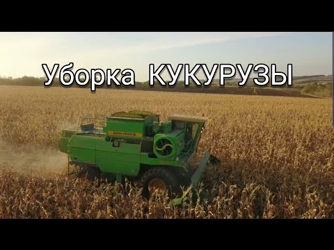 Видео: УБОРКА КУКУРУЗЫ 2019 ДОН 1500б