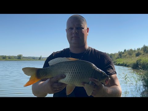 Видео: Карпы сломали род под ! Как связать браконьерский поводок!Разрыв удочек ! Рыбалка на Кукочке фильм 2