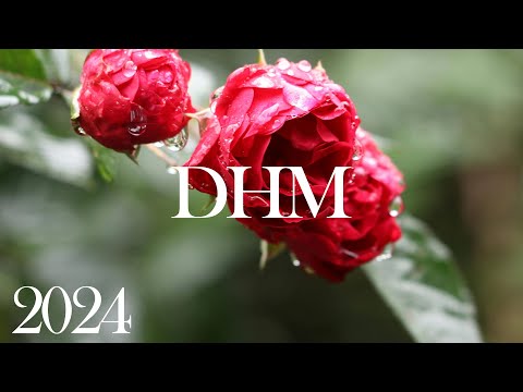 Видео: СБОРНИК КРАСИВЫЫХ МЕЛОДИЙ ДЛЯ ДУШИ! Музыка для Вас и Вашей семьи!