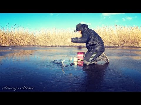 Видео: Рыбалка по первому льду. Ловля белой рыбы (плотва, красноперка, густера). Ловля живца. Первый лед.