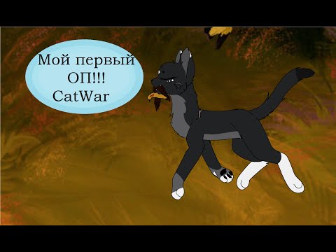 Видео: Мой первый ОП! CatWar