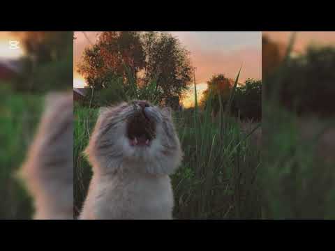 Видео: В белом самолёте♥️❤️‍🔥