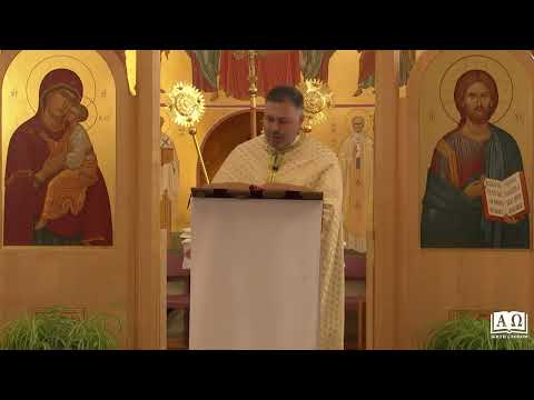 Видео: о. Юрій Щурко - проповідь 19 Неділя по Зісланні Святого Духа (Лк 6:31-36)