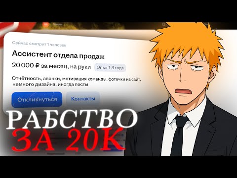 Видео: Вакансии для лохов с амбициями