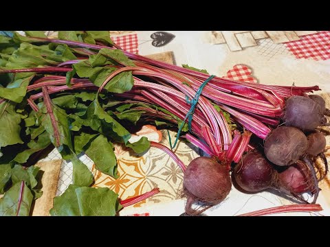 Видео: 230/ Червено Цвекло с Аншоа | Спанак с Ориз