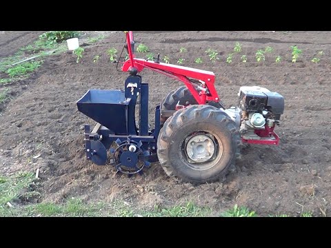 Видео: посадка картофеля мотоблоком МТЗ  с картофелесажалкой